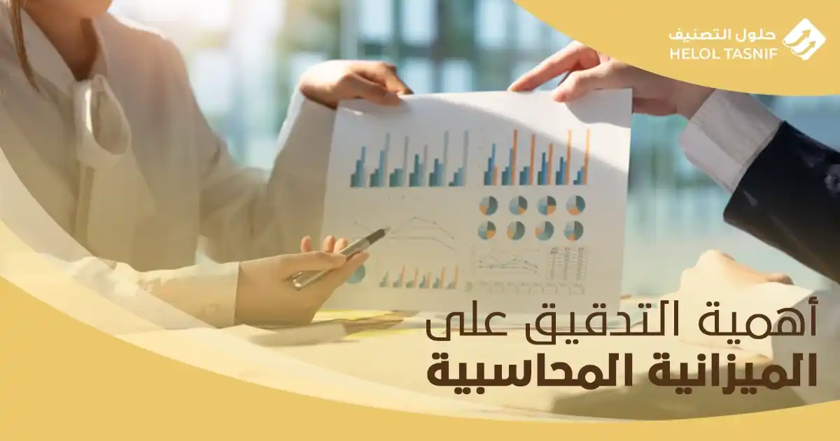 أهمية التدقيق على الميزانية المحاسبية