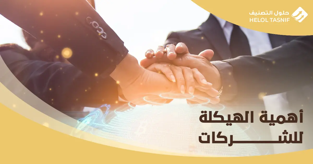 الهيكلة الادارية للشركات